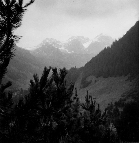 mittelberg