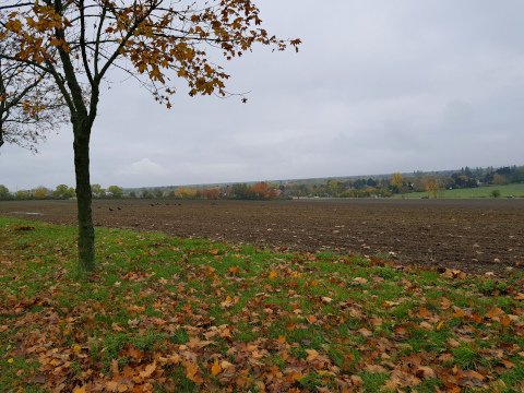 kaulsdorfer Seen