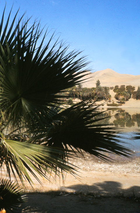 huacachina