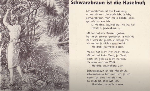 Schwarzbraun ist die haselnuss