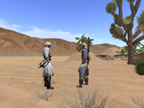tahari warriors