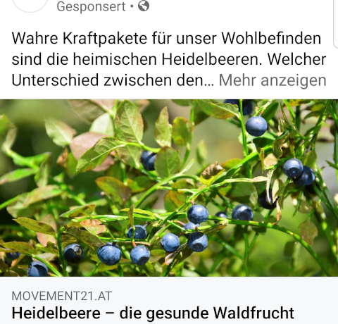 heidelbeere