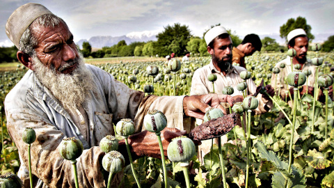 peasants afghanistan