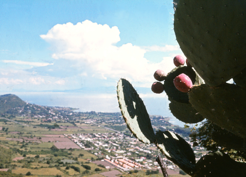 ajijic