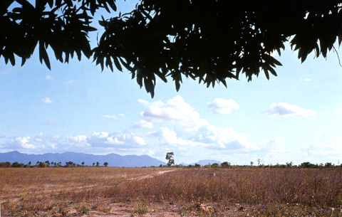 rupununi savanne guyana