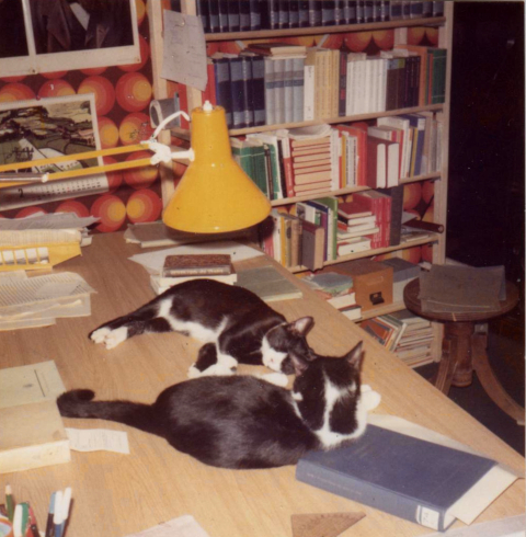 cats