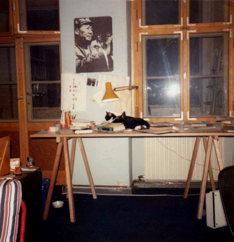 cats