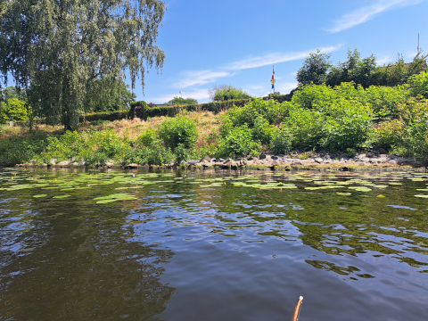 reiher