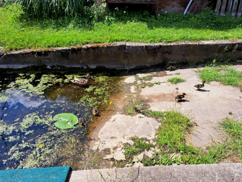 Wassersportheim Stössensee
