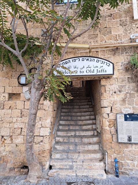 old jaffa