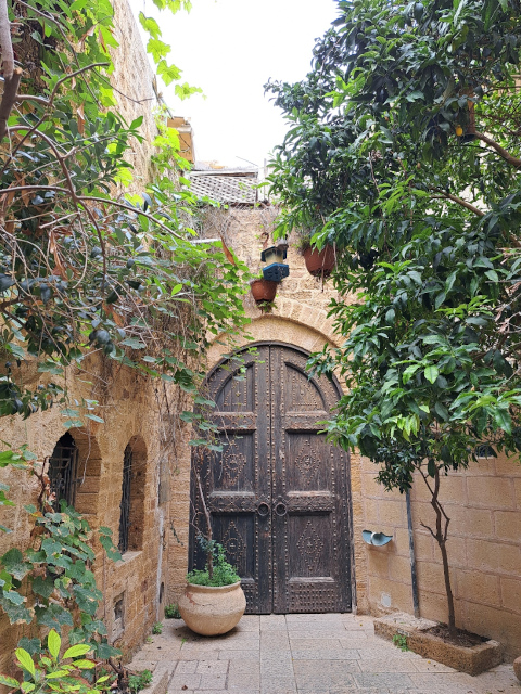 old jaffa
