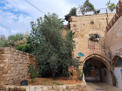 old jaffa