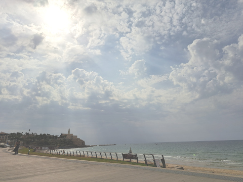 old jaffa
