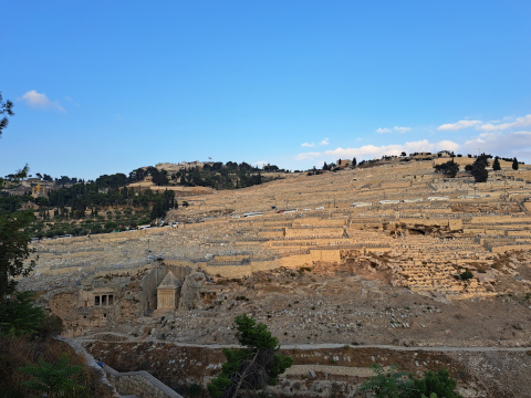 mount of olives