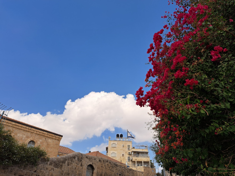 mount of olives