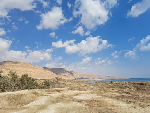dead sea