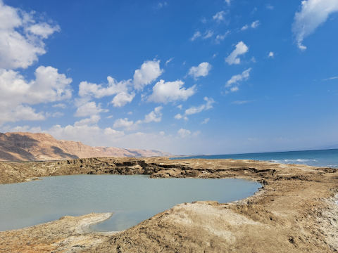 dead sea
