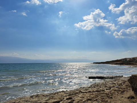 dead sea