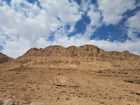 dead sea