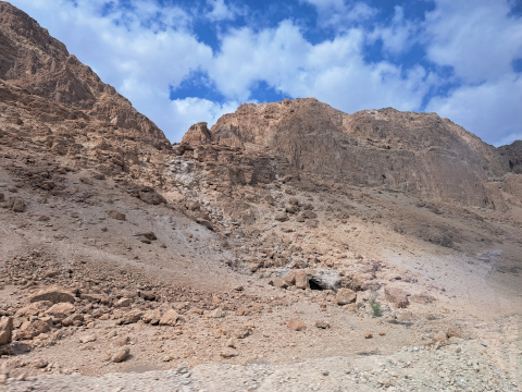 dead sea