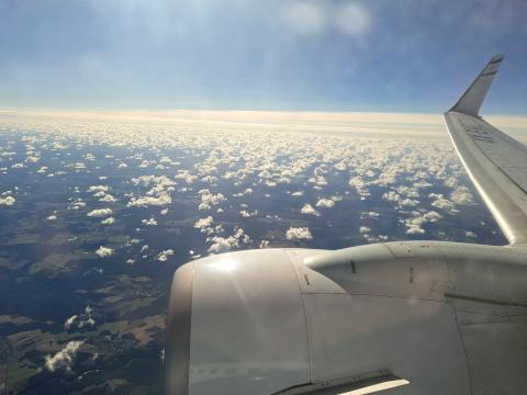 el al