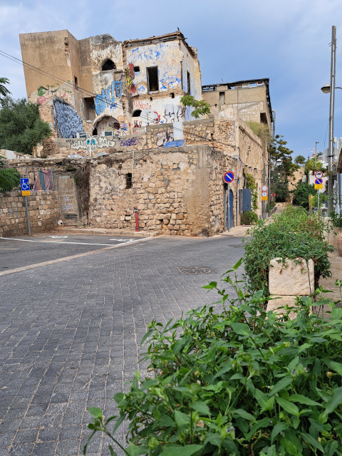 old jaffa