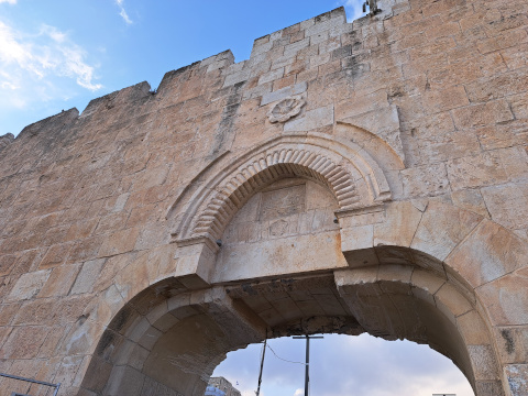 Dung gate