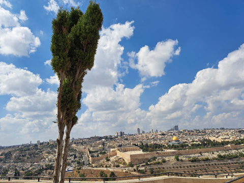 Jerusalem Mount of Olives
