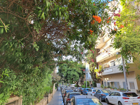 Tel Aviv