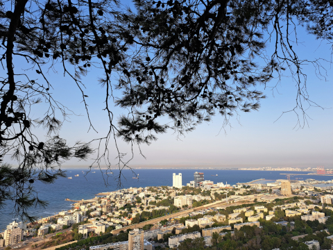 Haifa