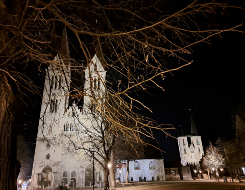 dom