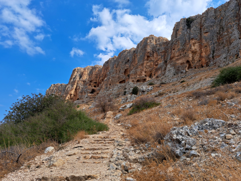 mount Arbel