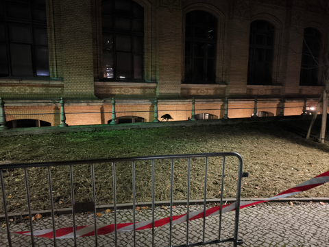 tierchen