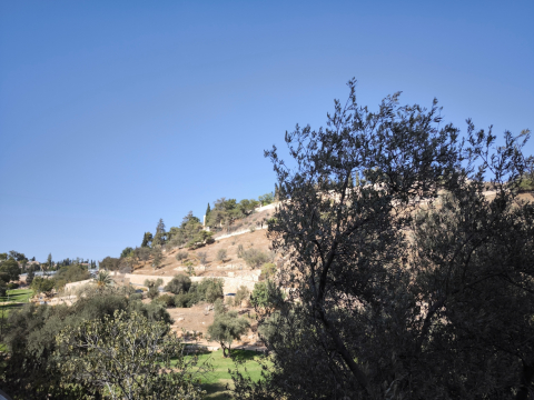 Jerusalem