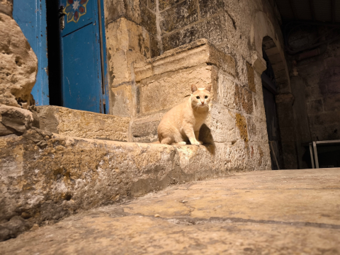 Jerusalem