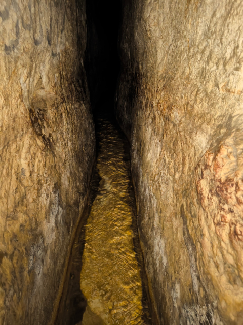 city of david