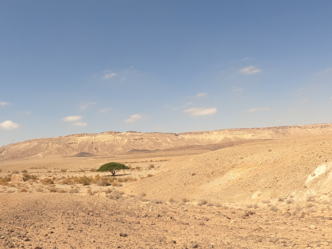 negev