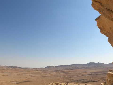 negev