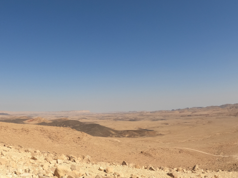 negev