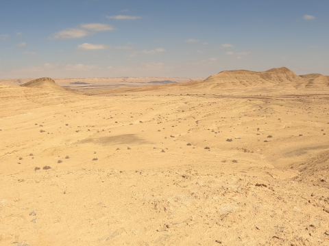 negev