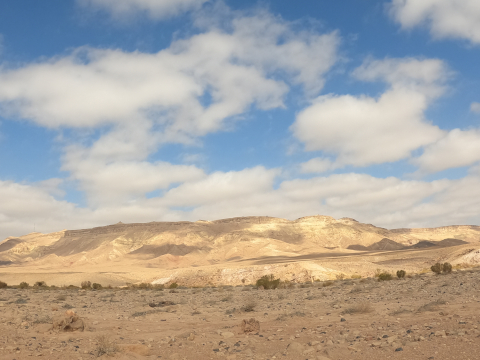negev