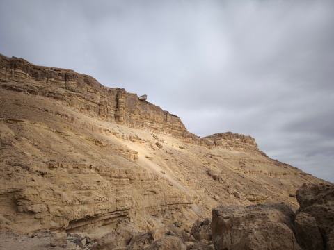 negev