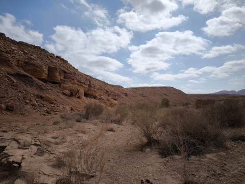 negev