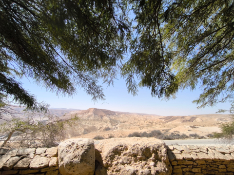 Midreshet Ben-Gurion