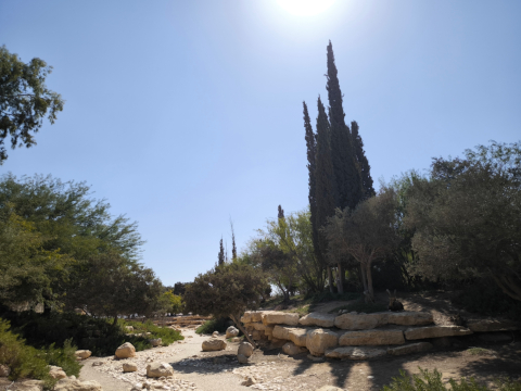 Midreshet Ben-Gurion