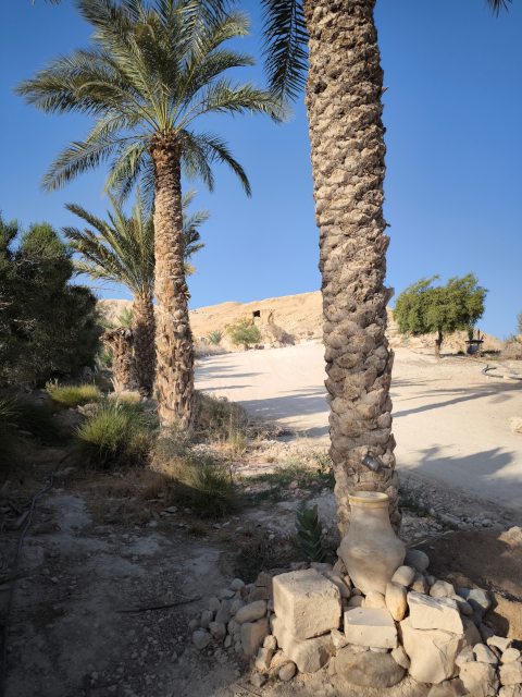 Wadi el-Qelt