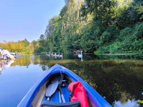 kayaking