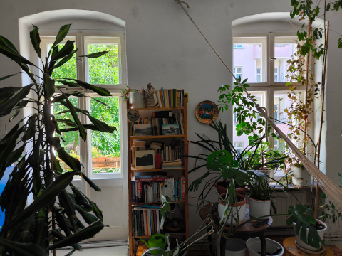 fenster