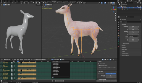 animation