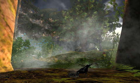 Tancred's landing
